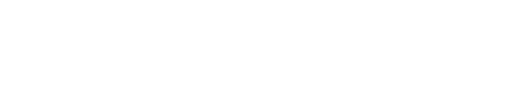 Car Depot